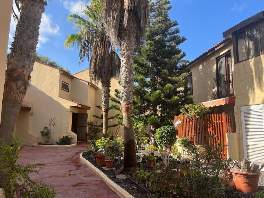 Casa Cactus Paraiso Parque Holandes Esterno foto