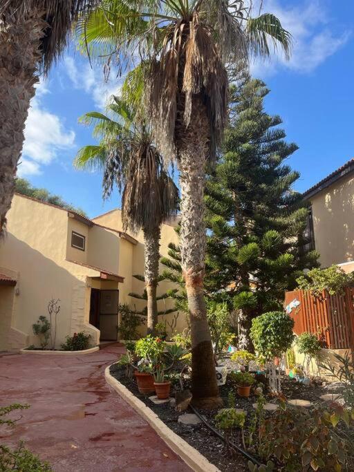 Casa Cactus Paraiso Parque Holandes Esterno foto